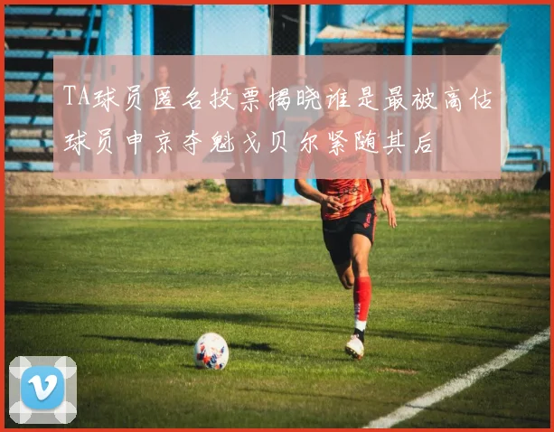 TA球员匿名投票揭晓谁是最被高估球员申京夺魁戈贝尔紧随其后
