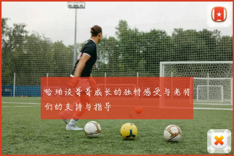 哈珀谈哥哥成长的独特感受与老将们的支持与指导